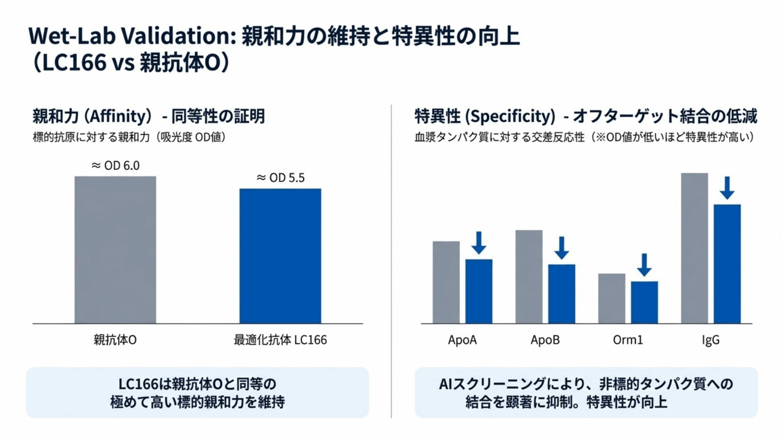Wet-Lab Validation：親和力の維持と特異性の劇的な向上（LC166 vs 親抗体O）